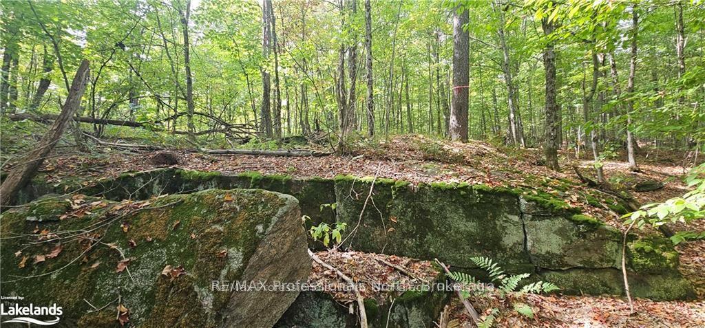 Photo 5 of South Horn Lake Road, Magnetawan — HOMEH
