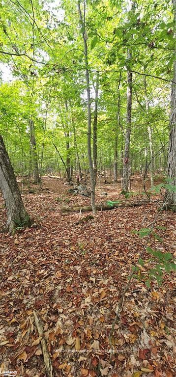 Photo 7 of South Horn Lake Road, Magnetawan — HOMEH