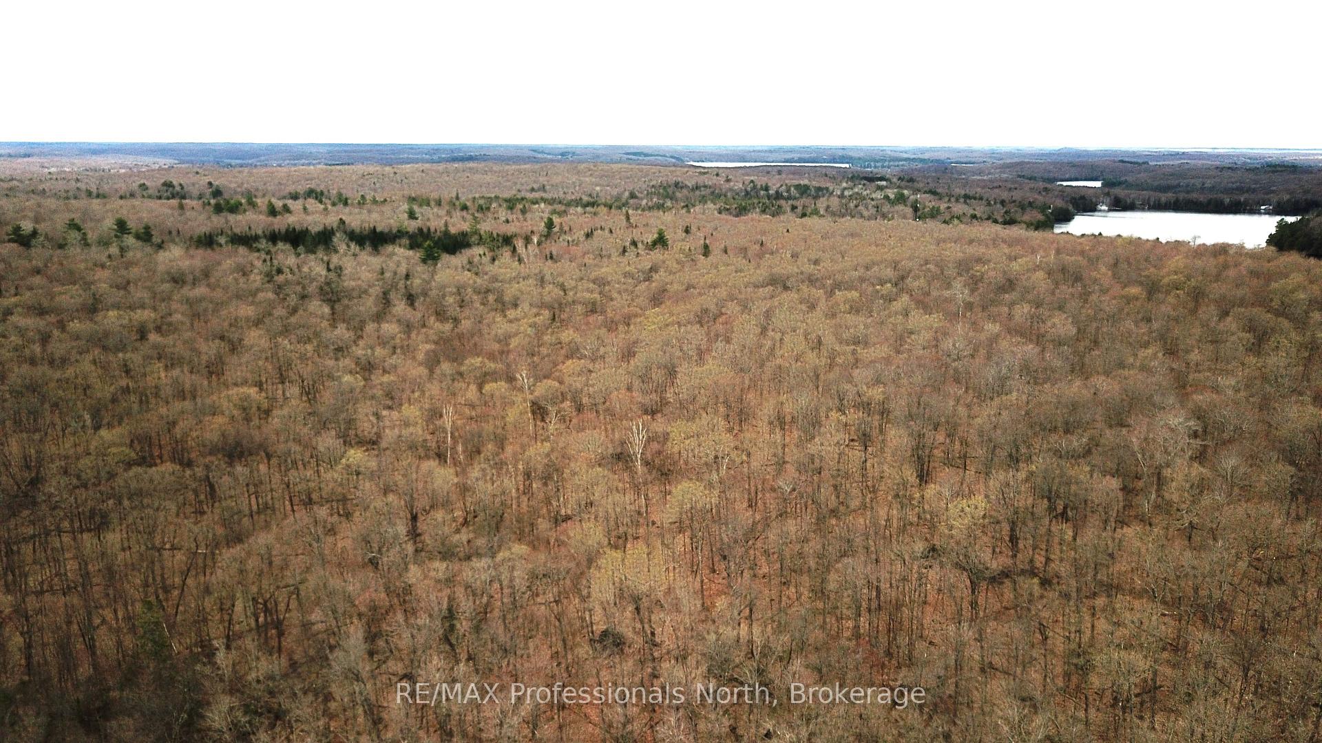 Photo 8 of South Horn Lake Road, Magnetawan — HOMEH
