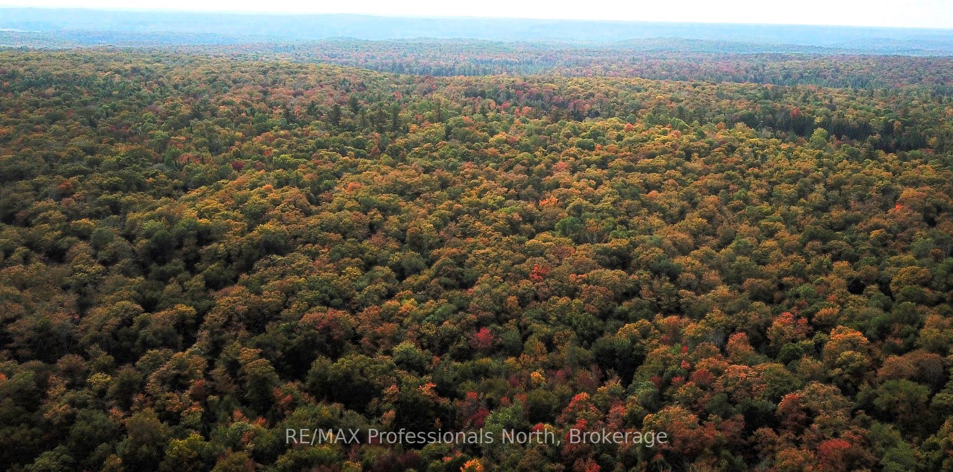 Photo 11 of South Horn Lake Road, Magnetawan — HOMEH