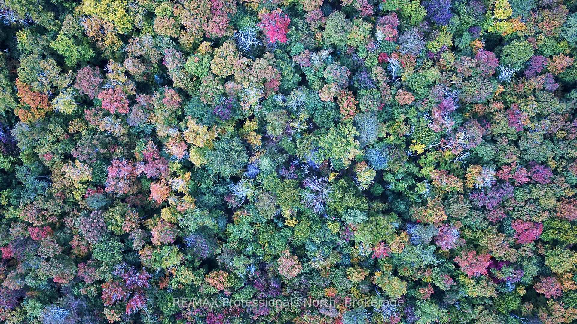Photo 12 of South Horn Lake Road, Magnetawan — HOMEH