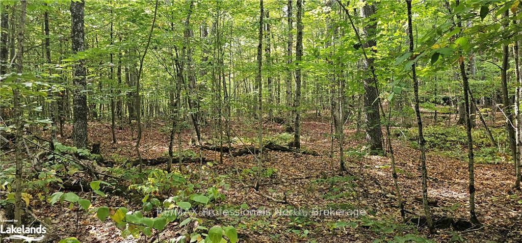 Photo 14 of South Horn Lake Road, Magnetawan — HOMEH
