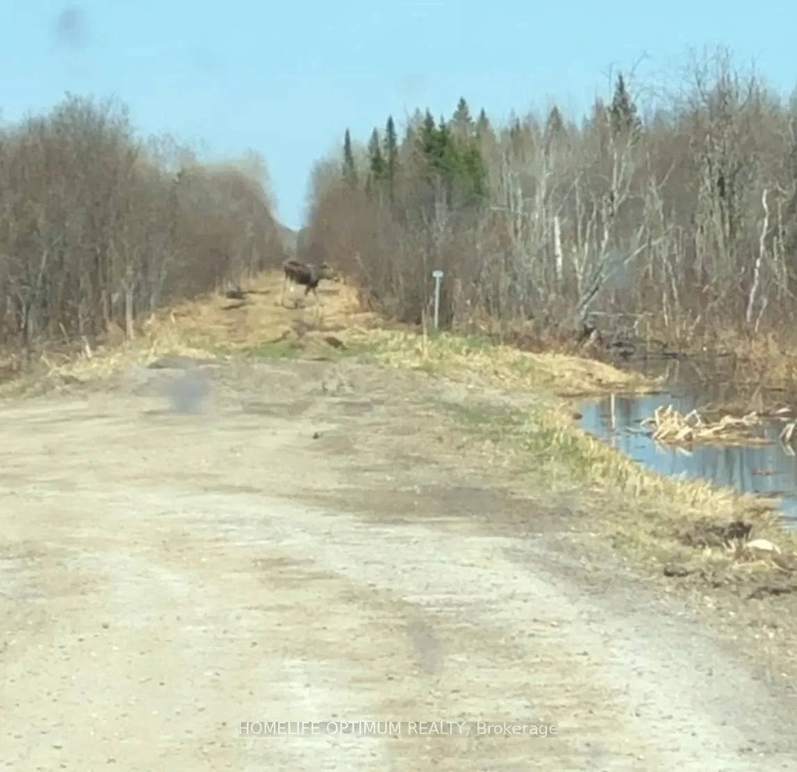 Photo 5 of PCL3840, Cochrane, Cochrane Unorganized — HOMEH