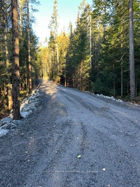 Photo 5 of 1866 Highway 124, Magnetawan — HOMEH