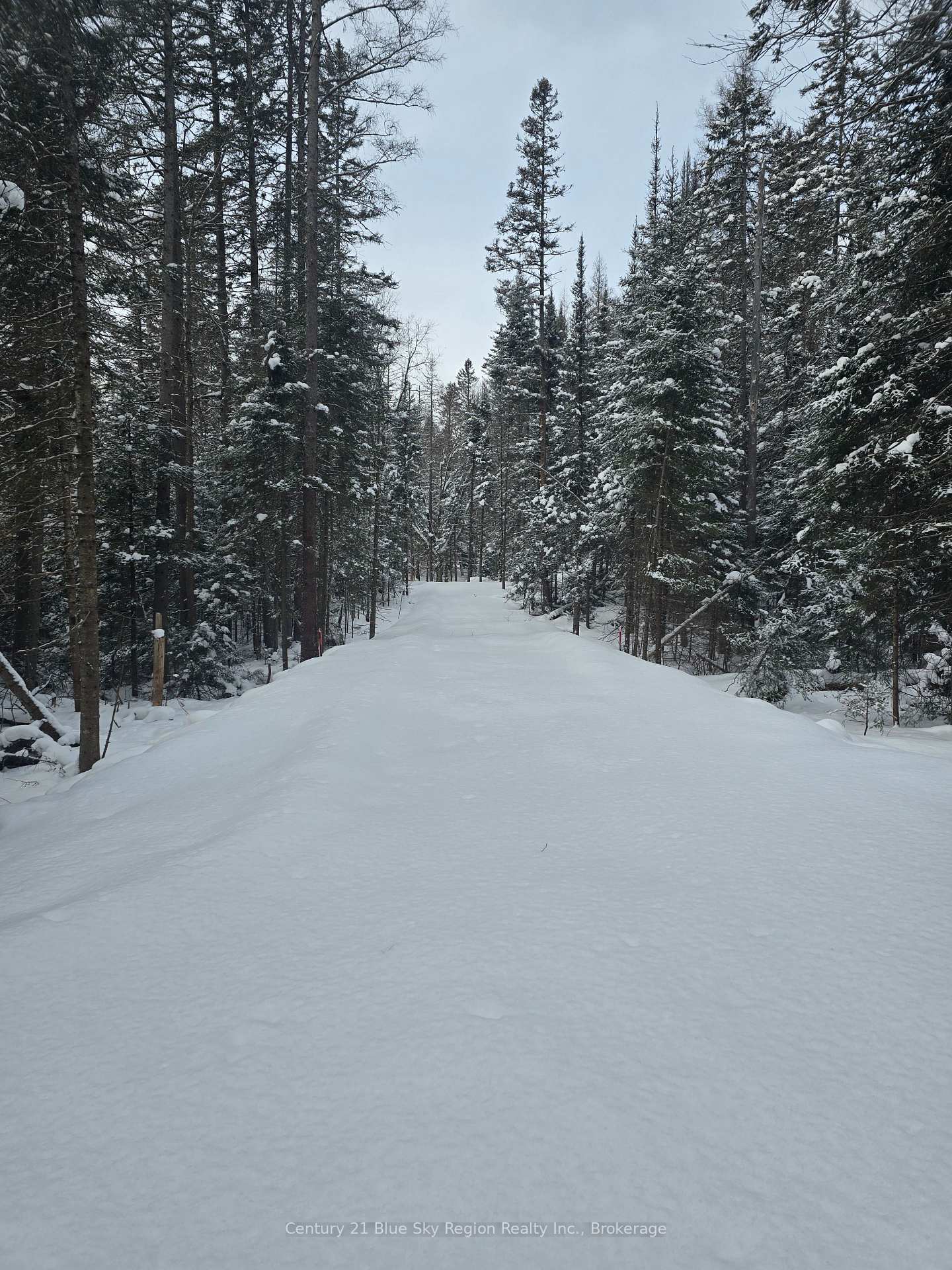 Photo 6 of 1866 Highway 124, Magnetawan — HOMEH