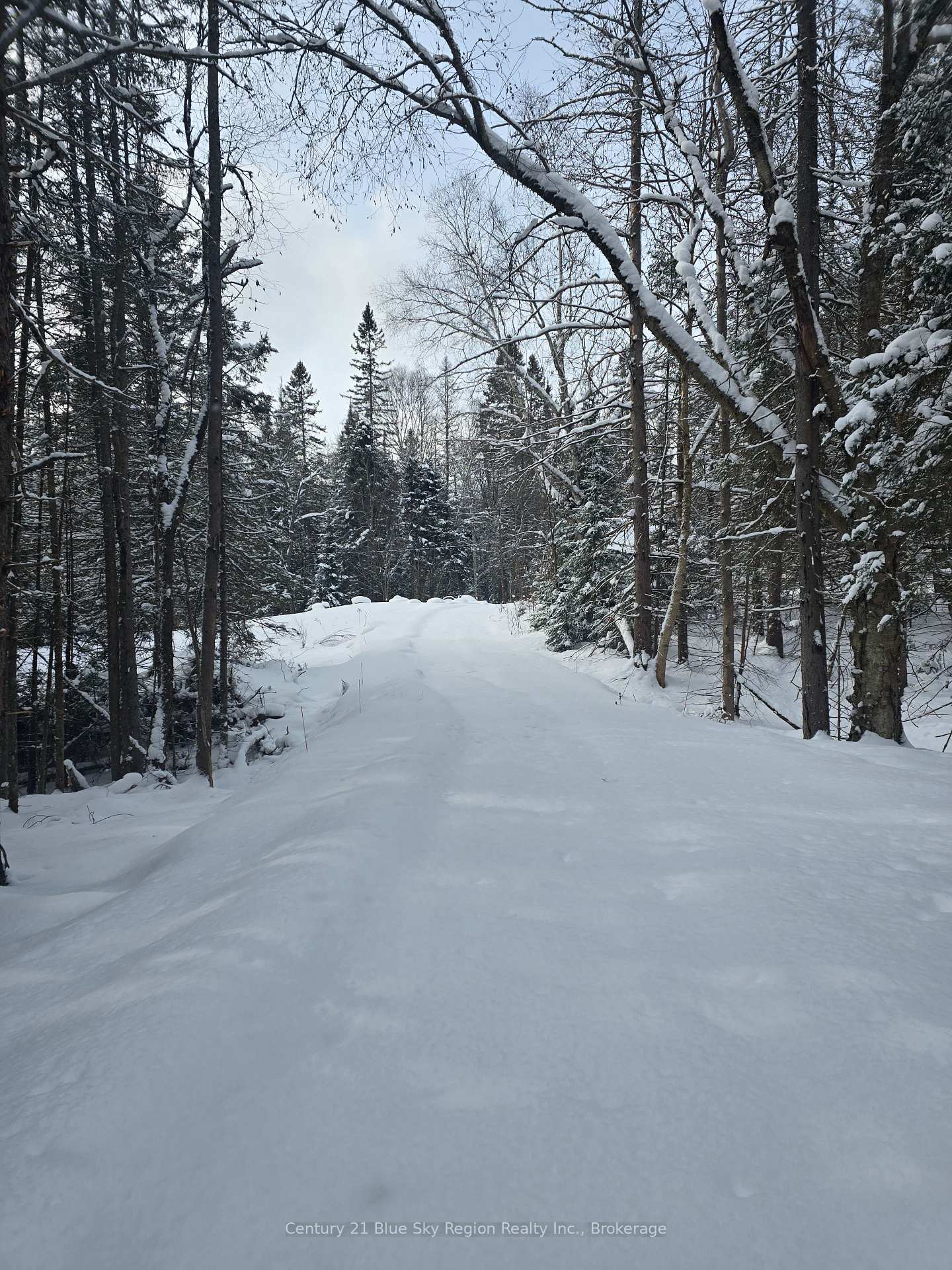 Photo 7 of 1866 Highway 124, Magnetawan — HOMEH