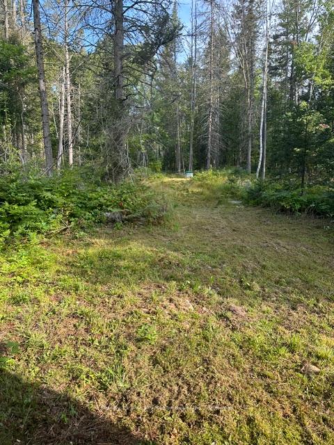 Photo 8 of 1866 Highway 124, Magnetawan — HOMEH
