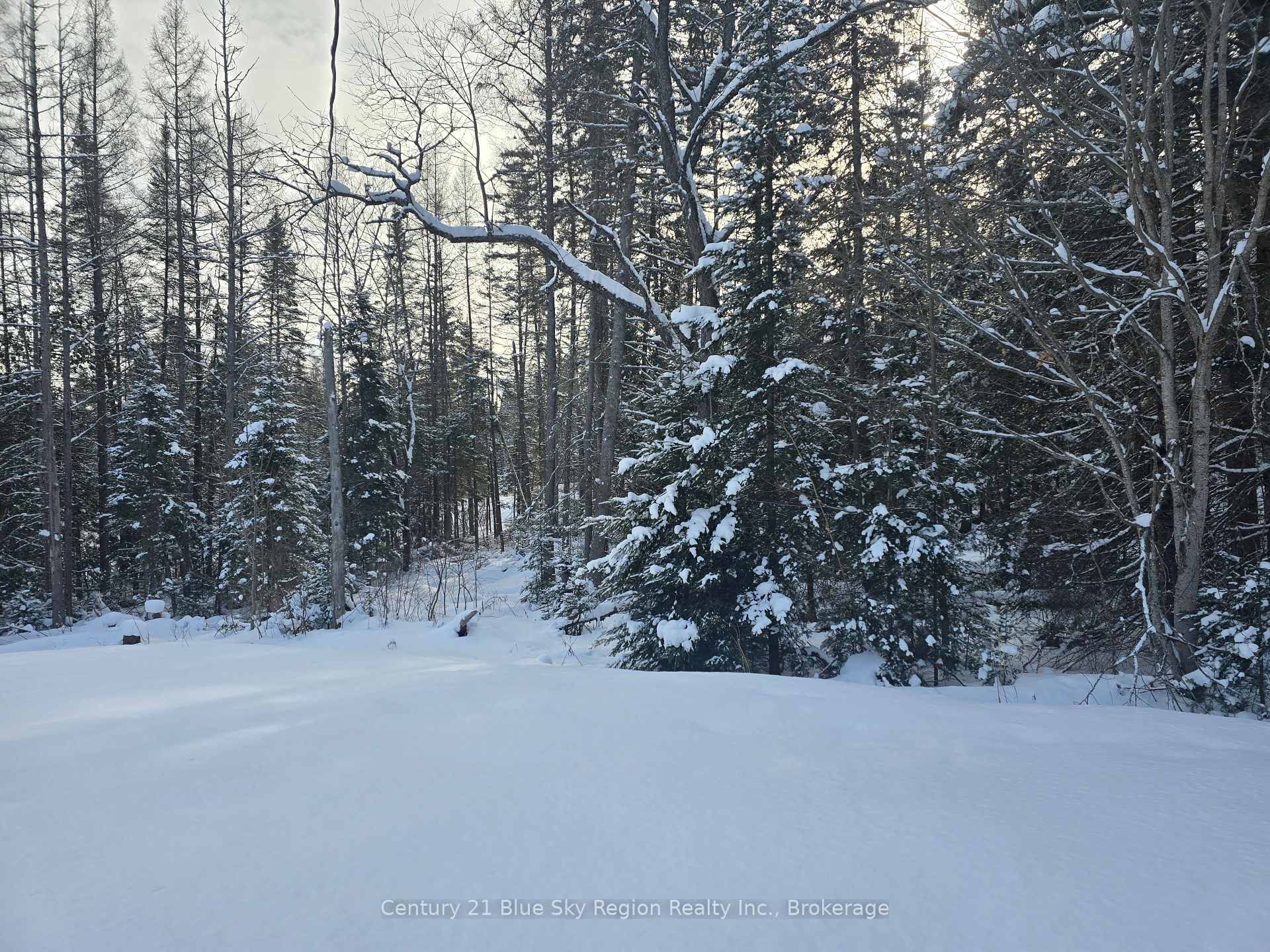 Photo 33 of 1866 Highway 124, Magnetawan — HOMEH