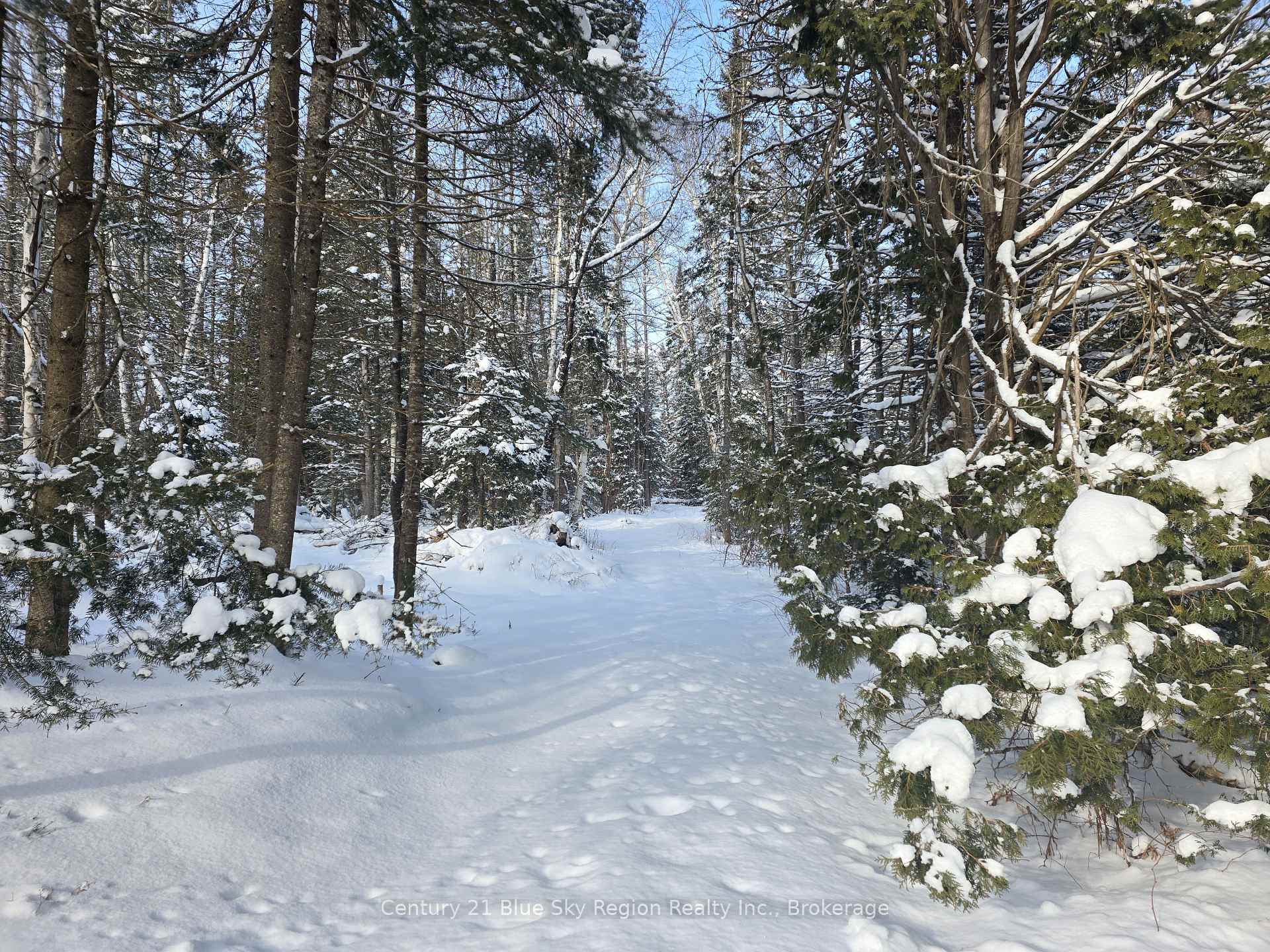 Photo 35 of 1866 Highway 124, Magnetawan — HOMEH
