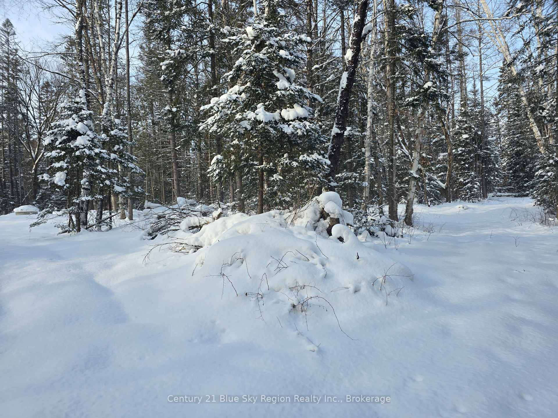 Photo 36 of 1866 Highway 124, Magnetawan — HOMEH
