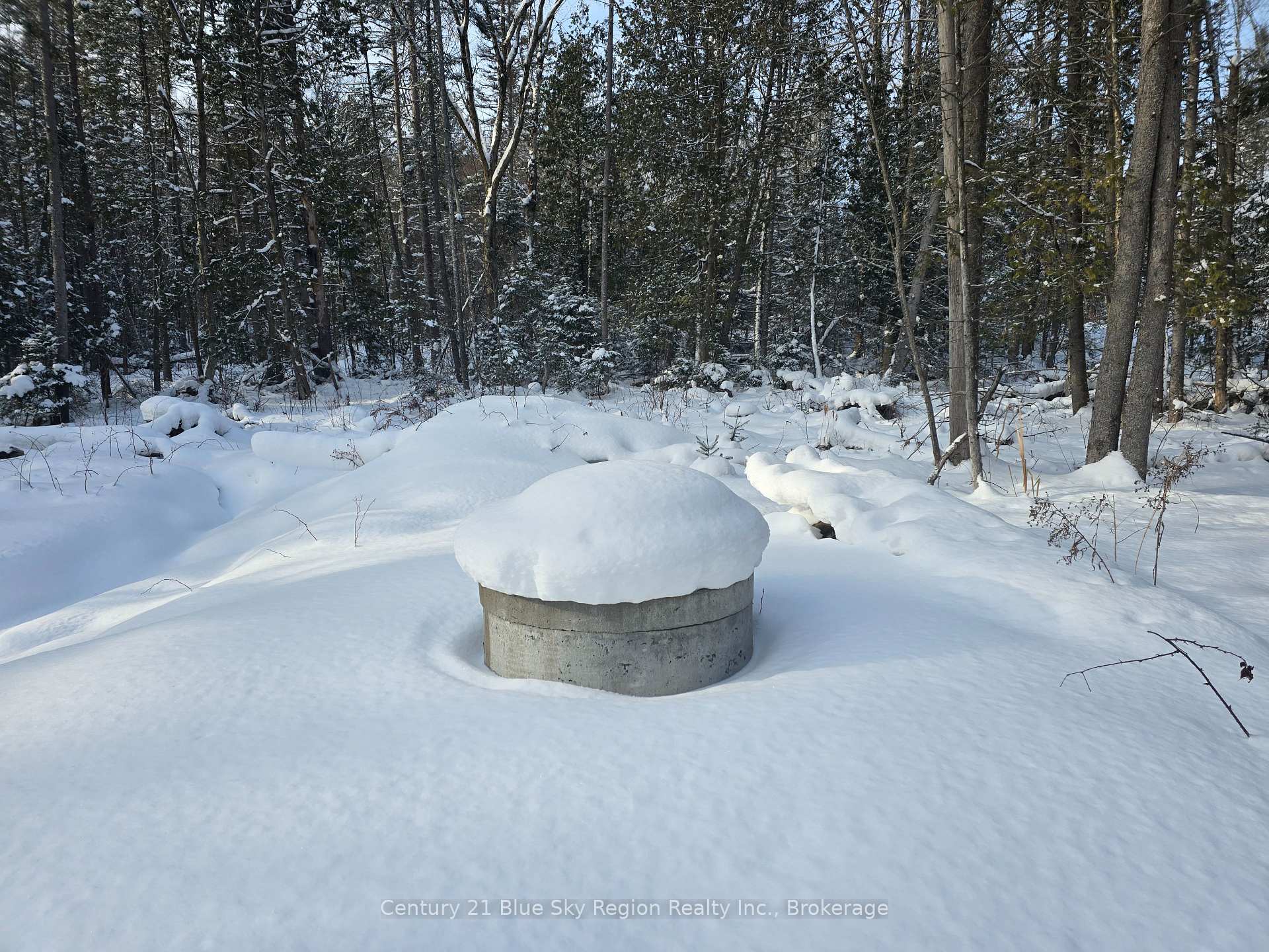 Photo 37 of 1866 Highway 124, Magnetawan — HOMEH