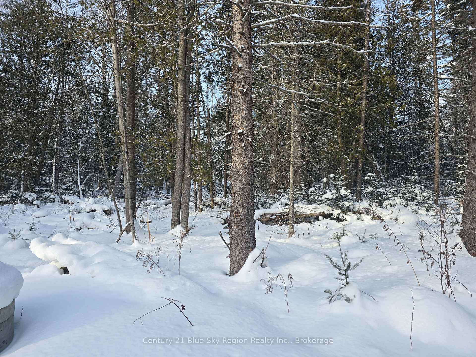 Photo 38 of 1866 Highway 124, Magnetawan — HOMEH