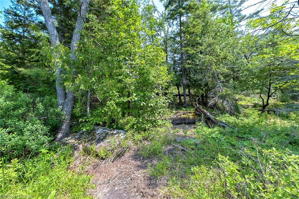 Photo 13 of LOT 6 Grand Trunk, Callander — HOMEH