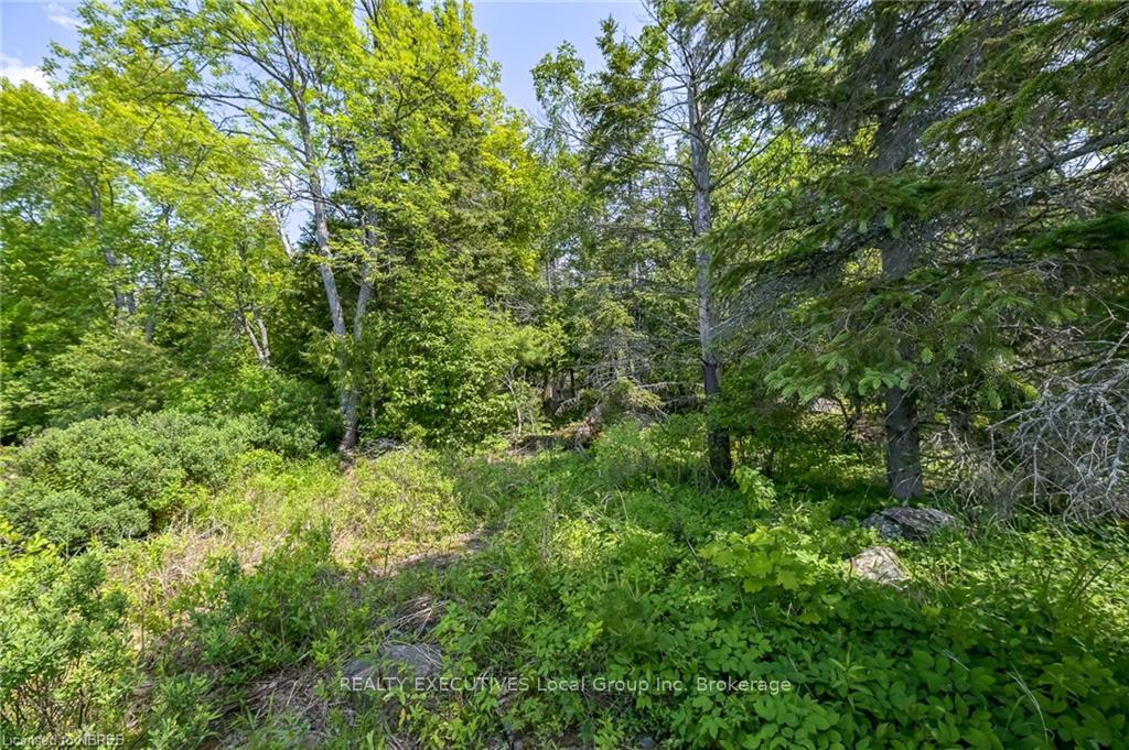 Photo 14 of LOT 6 Grand Trunk, Callander — HOMEH