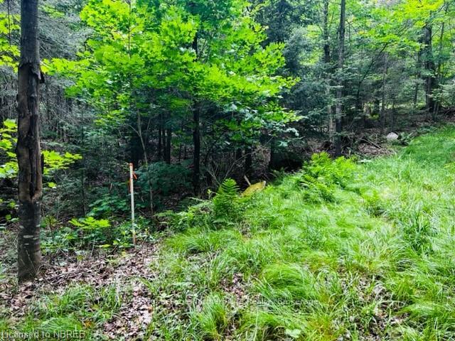 Photo 7 of LOT 5 Maple Road, Bonfield — HOMEH