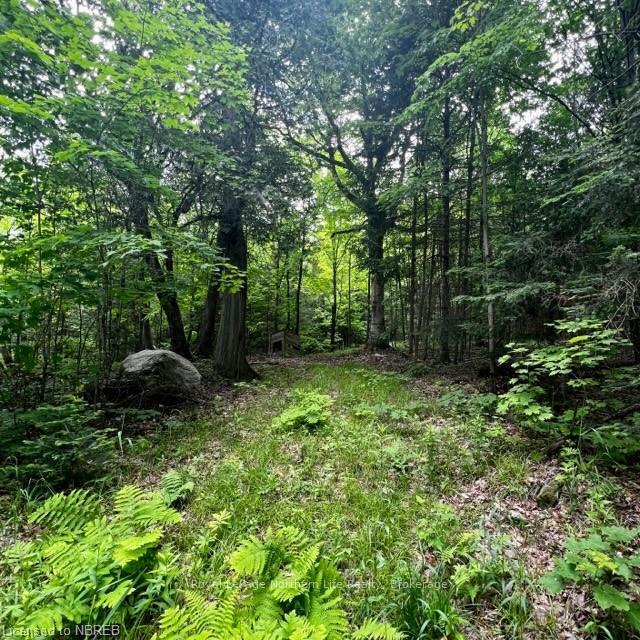 Photo 8 of LOT 5 Maple Road, Bonfield — HOMEH