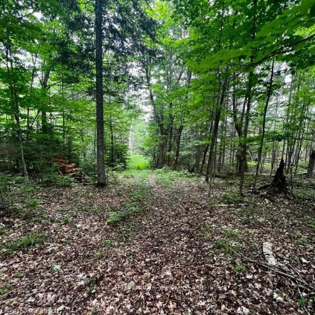 Photo 9 of LOT 5 Maple Road, Bonfield — HOMEH