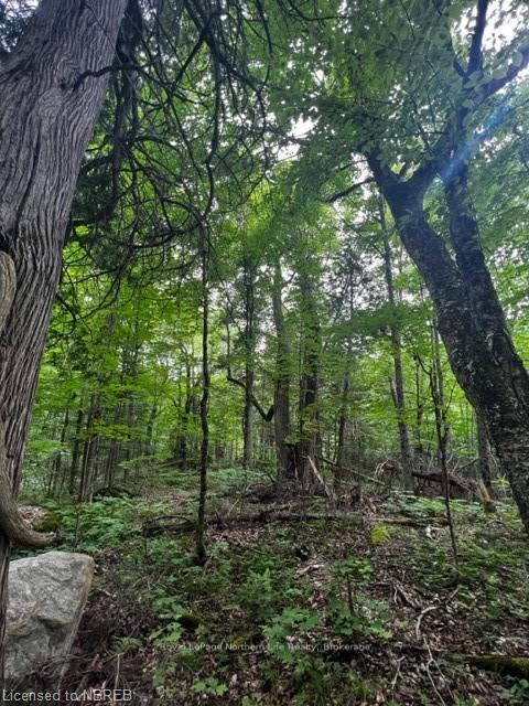 Photo 10 of LOT 5 Maple Road, Bonfield — HOMEH