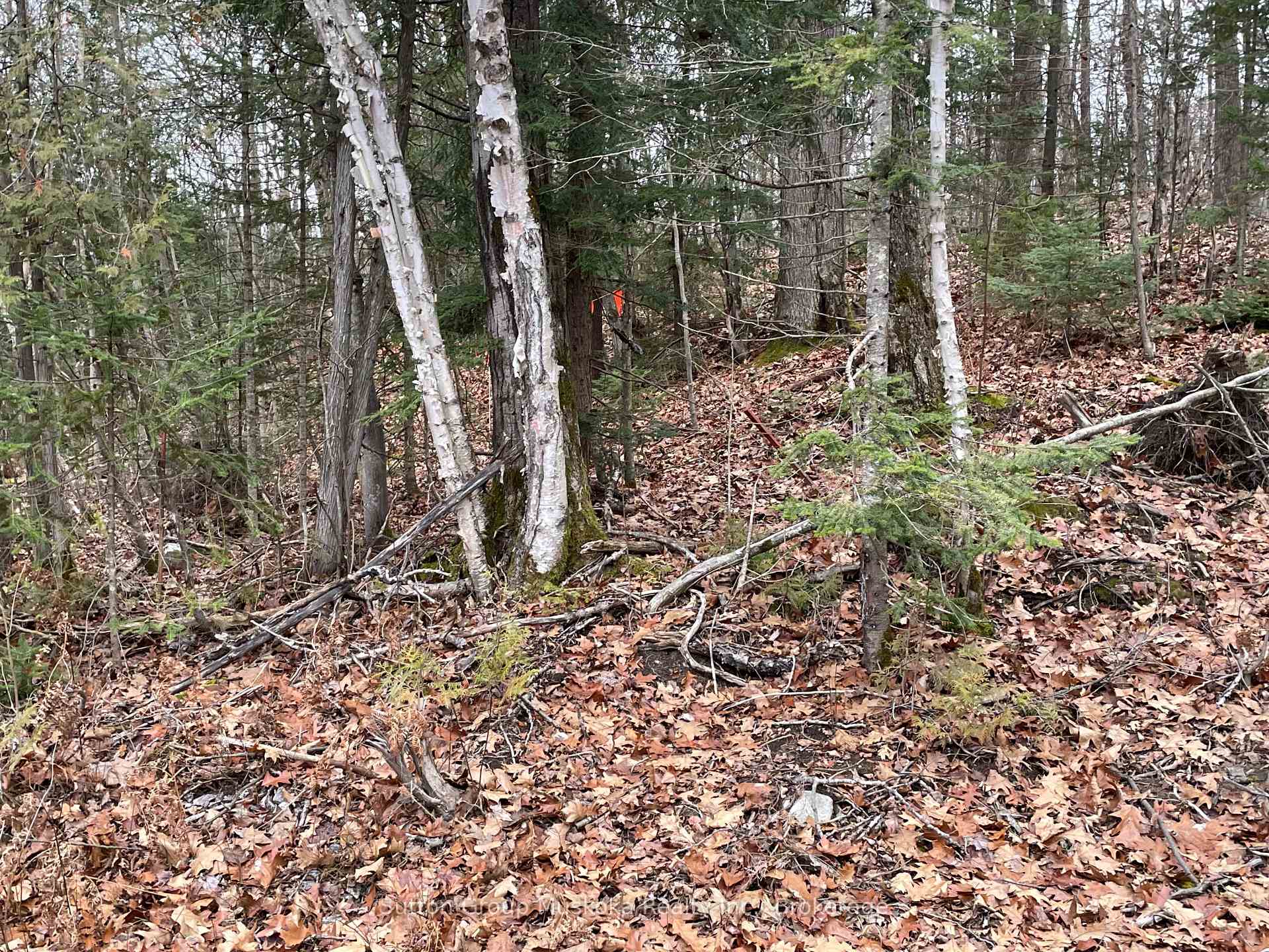 Photo 1 of 48 Spring Hill Rd, McKellar — HOMEH