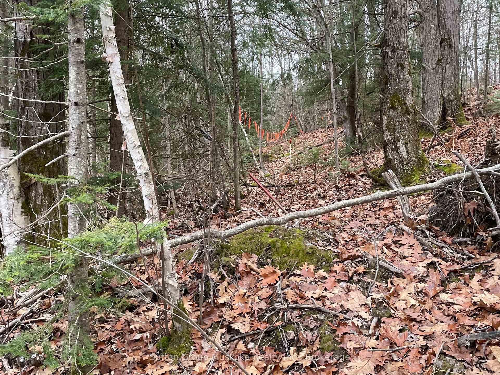 Photo 3 of 48 Spring Hill Rd, McKellar — HOMEH