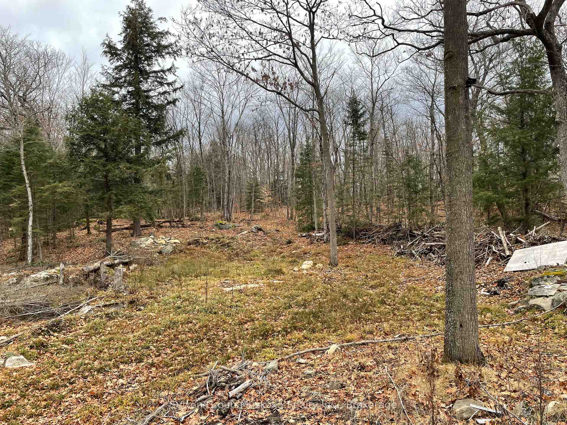 Photo 6 of 48 Spring Hill Rd, McKellar — HOMEH
