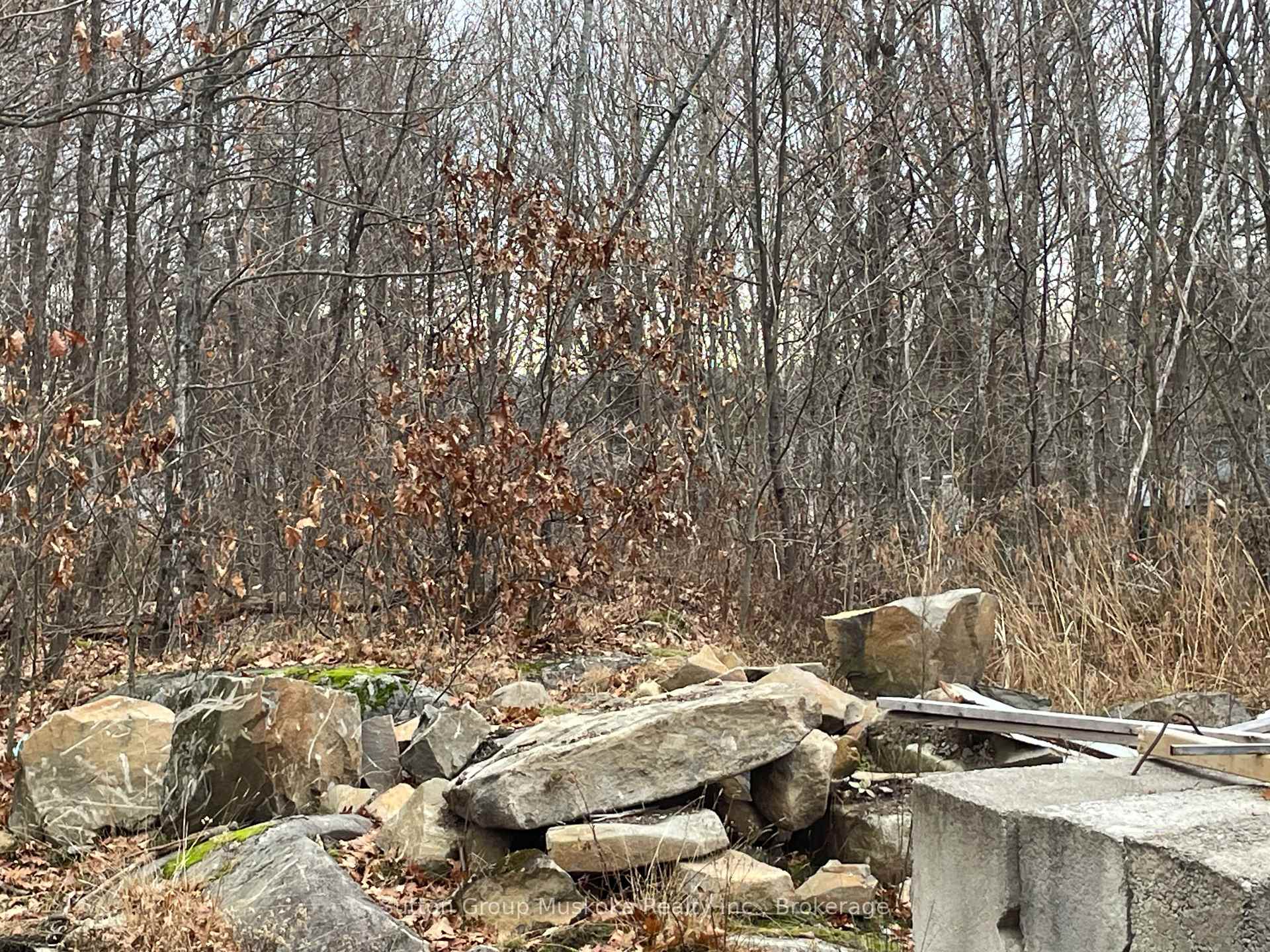 Photo 7 of 48 Spring Hill Rd, McKellar — HOMEH