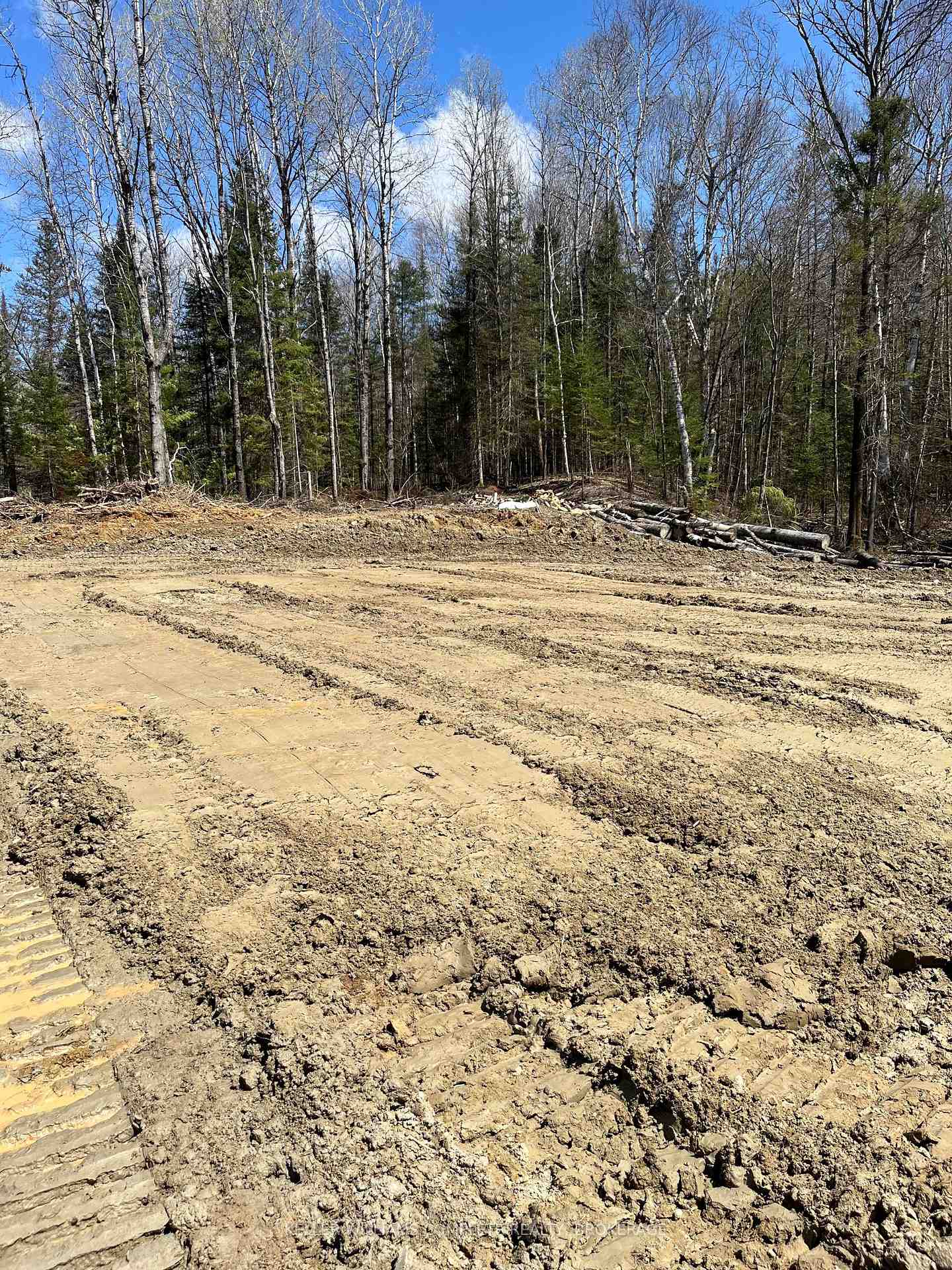 Photo 4 of 143 Argo Run, Mattawan — HOMEH