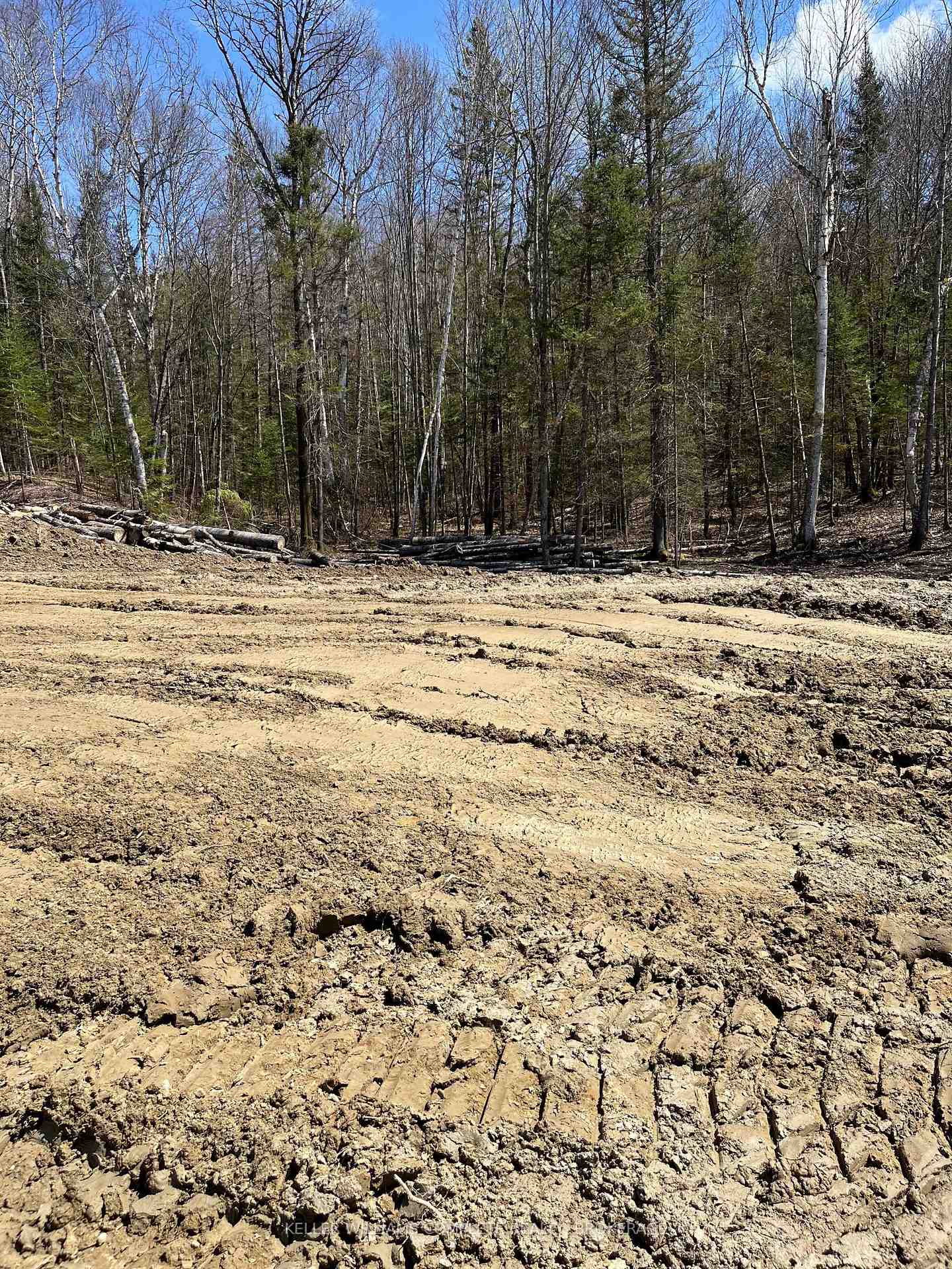 Photo 6 of 143 Argo Run, Mattawan — HOMEH