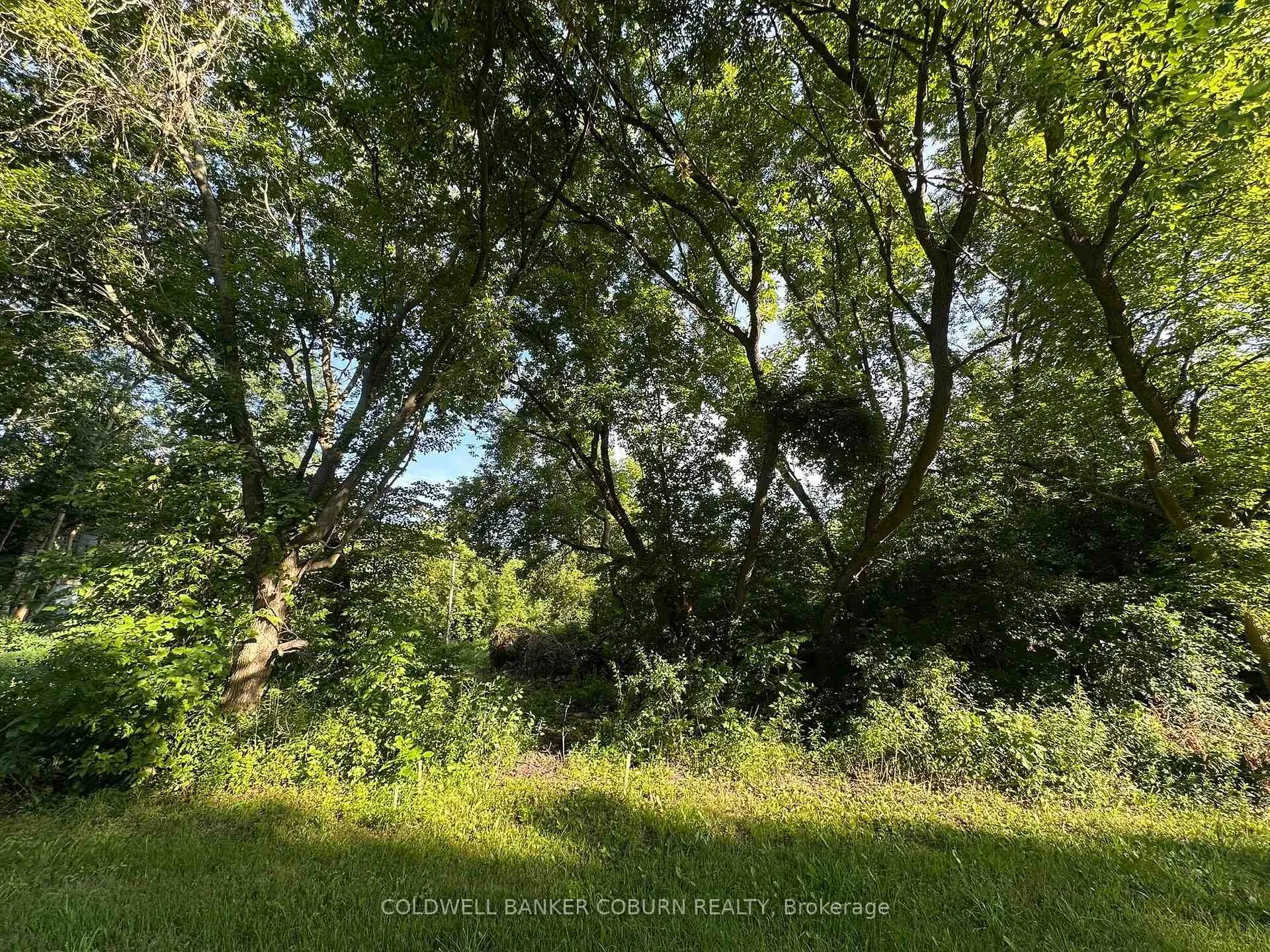 Photo 2 of 000 Pittston Road, Edwardsburgh/Cardinal, Edwardsburgh/Cardinal Twp — HOMEH