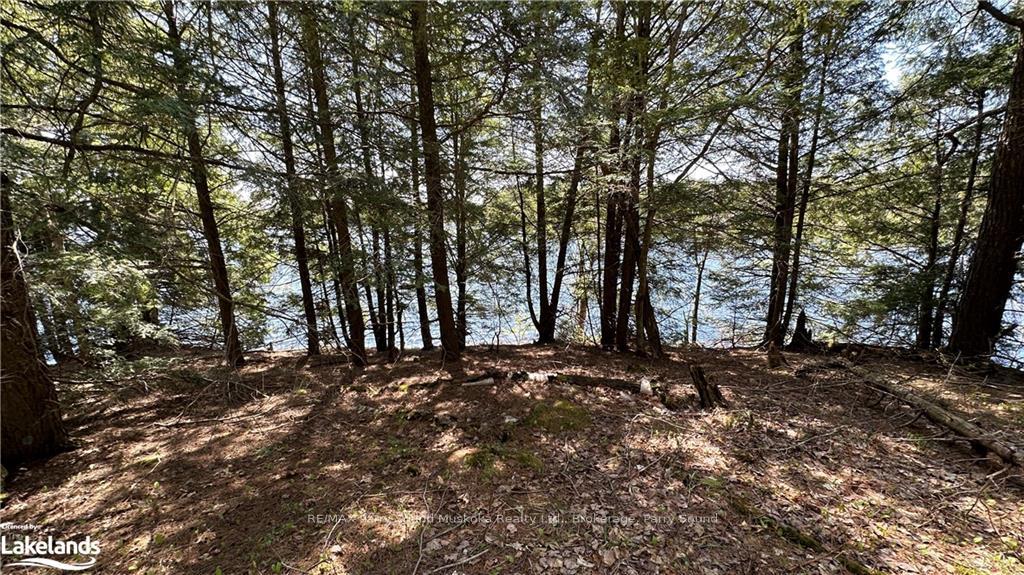 Photo 1 of 36 Magnet Road, Magnetawan, Ahmic Harbour — HOMEH