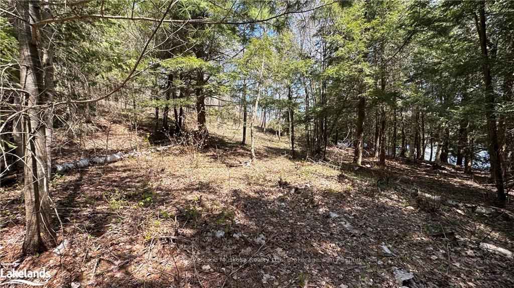 Photo 3 of 36 Magnet Road, Magnetawan, Ahmic Harbour — HOMEH