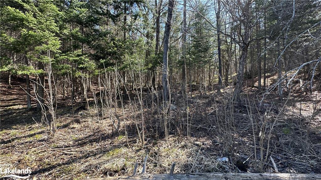 Photo 28 of 36 Magnet Road, Magnetawan, Ahmic Harbour — HOMEH