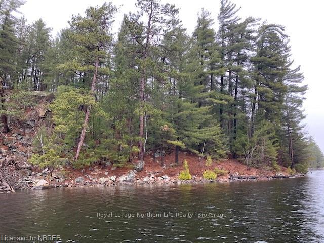Photo 2 of LOT 1 Fox Run Drive, Temagami — HOMEH