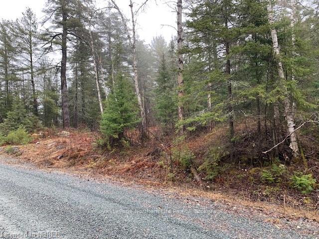 Photo 5 of LOT 1 Fox Run Drive, Temagami — HOMEH