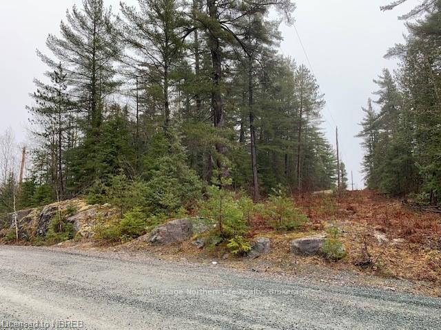 Photo 6 of LOT 1 Fox Run Drive, Temagami — HOMEH
