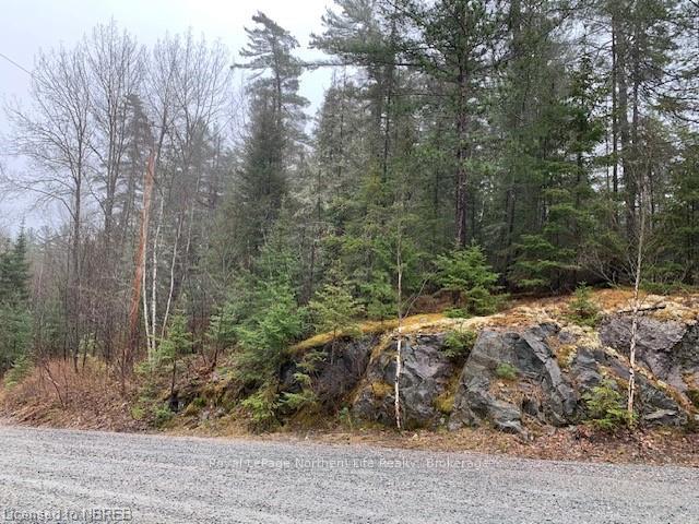 Photo 7 of LOT 1 Fox Run Drive, Temagami — HOMEH