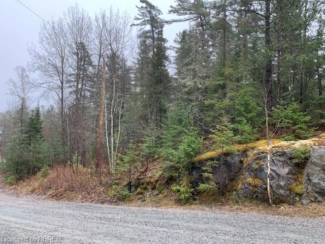 Photo 8 of LOT 1 Fox Run Drive, Temagami — HOMEH
