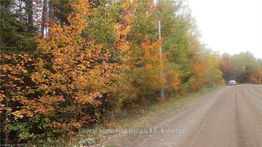 Photo 5 of Pt Lot 25 Development Road, Bonfield — HOMEH