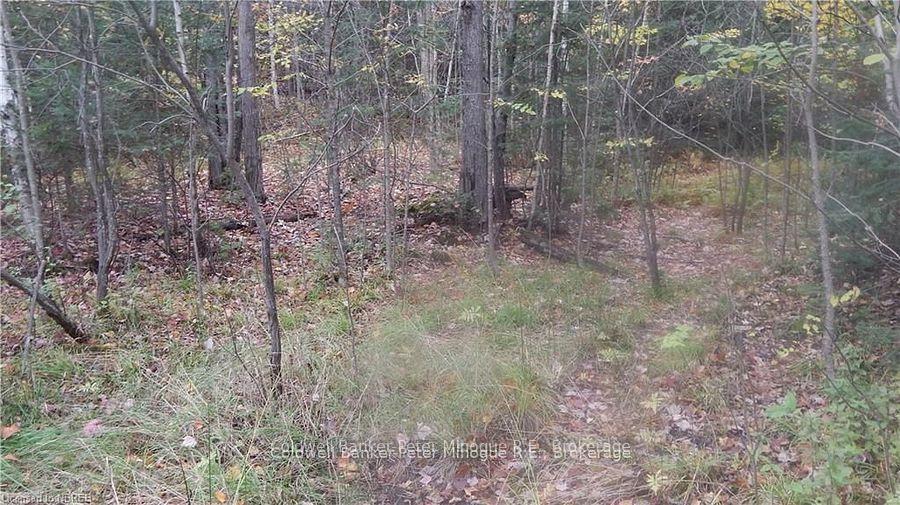 Photo 7 of Pt Lot 25 Development Road, Bonfield — HOMEH