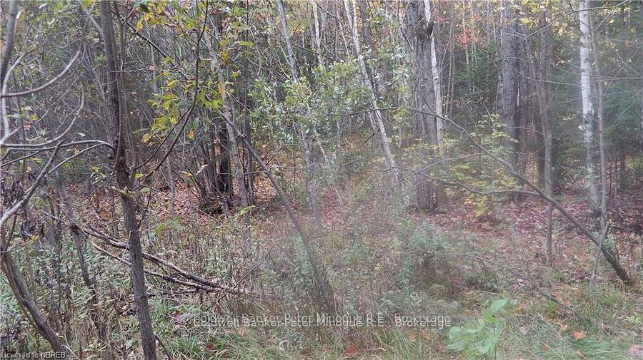Photo 8 of Pt Lot 25 Development Road, Bonfield — HOMEH