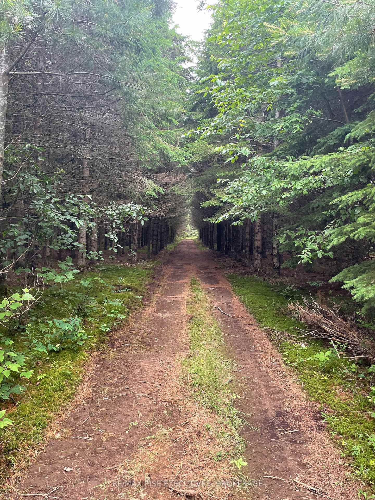 Photo 7 of 1311A County Road 506, North Frontenac, Frontenac North — HOMEH