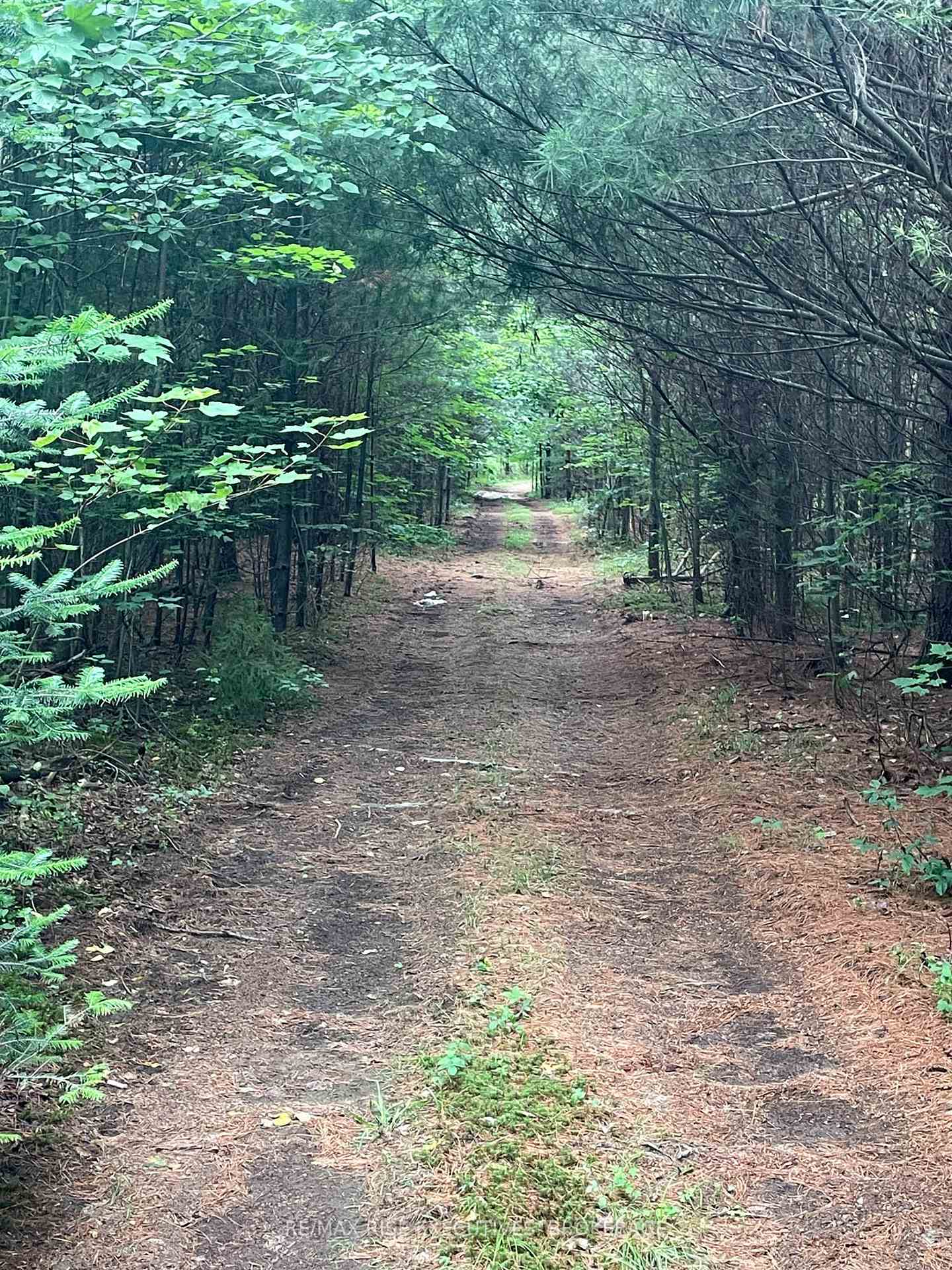 Photo 8 of 1311A County Road 506, North Frontenac, Frontenac North — HOMEH