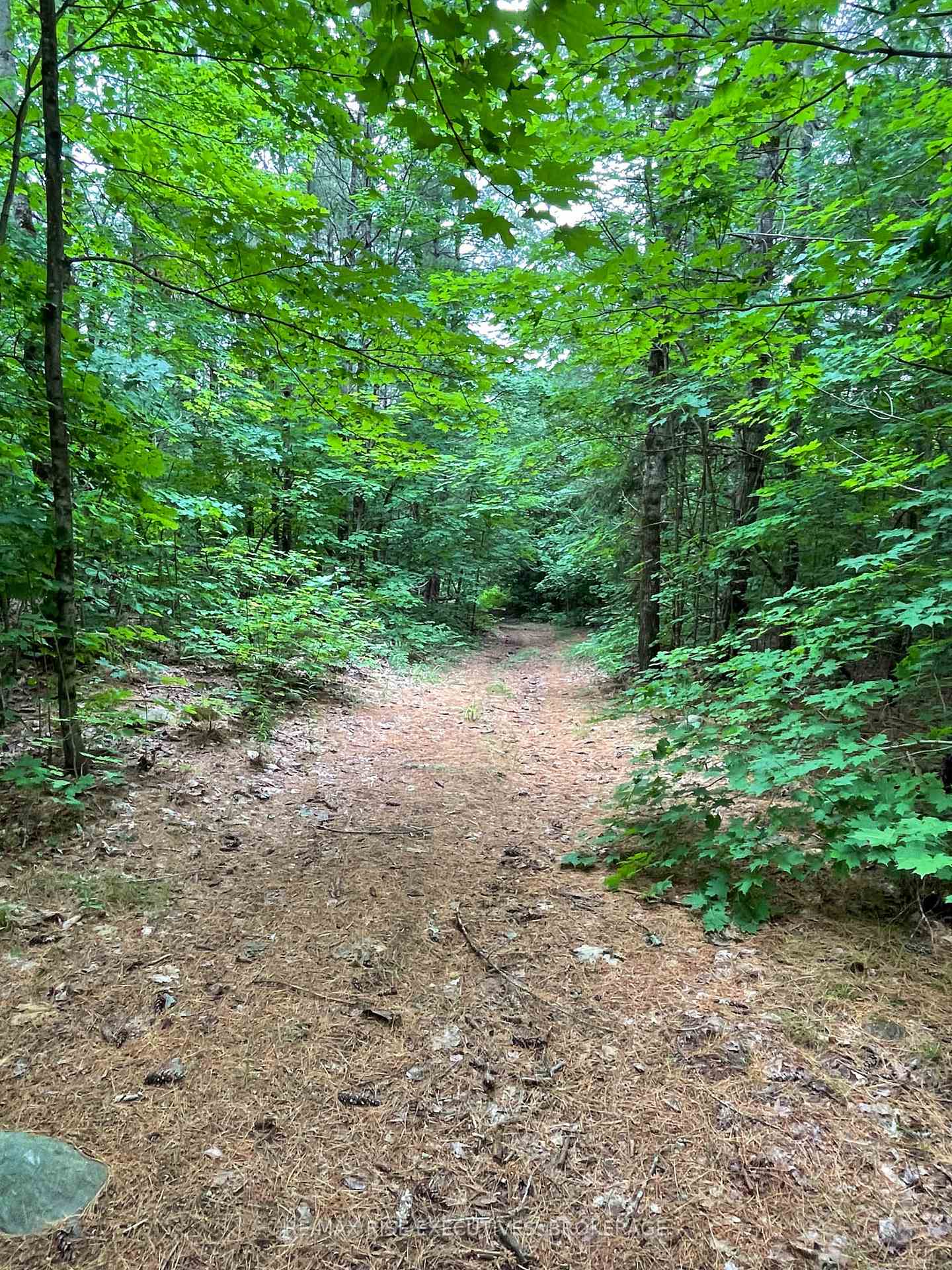 Photo 13 of 1311A County Road 506, North Frontenac, Frontenac North — HOMEH