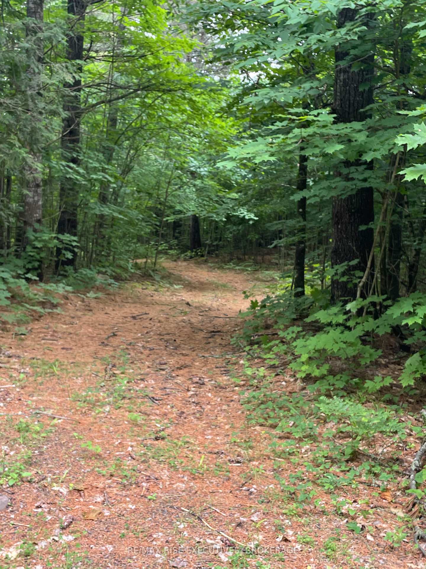 Photo 14 of 1311A County Road 506, North Frontenac, Frontenac North — HOMEH