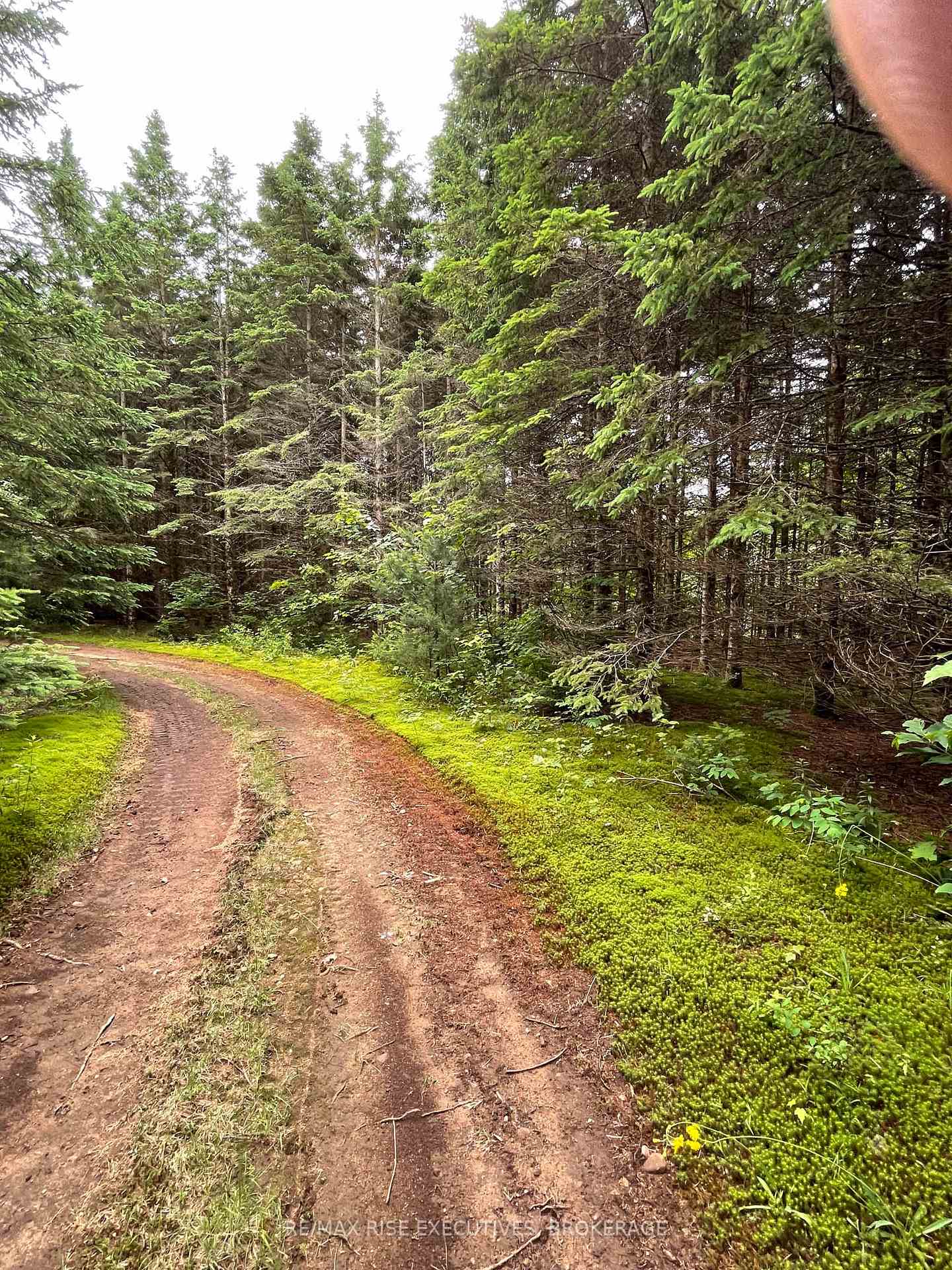 Photo 16 of 1311A County Road 506, North Frontenac, Frontenac North — HOMEH