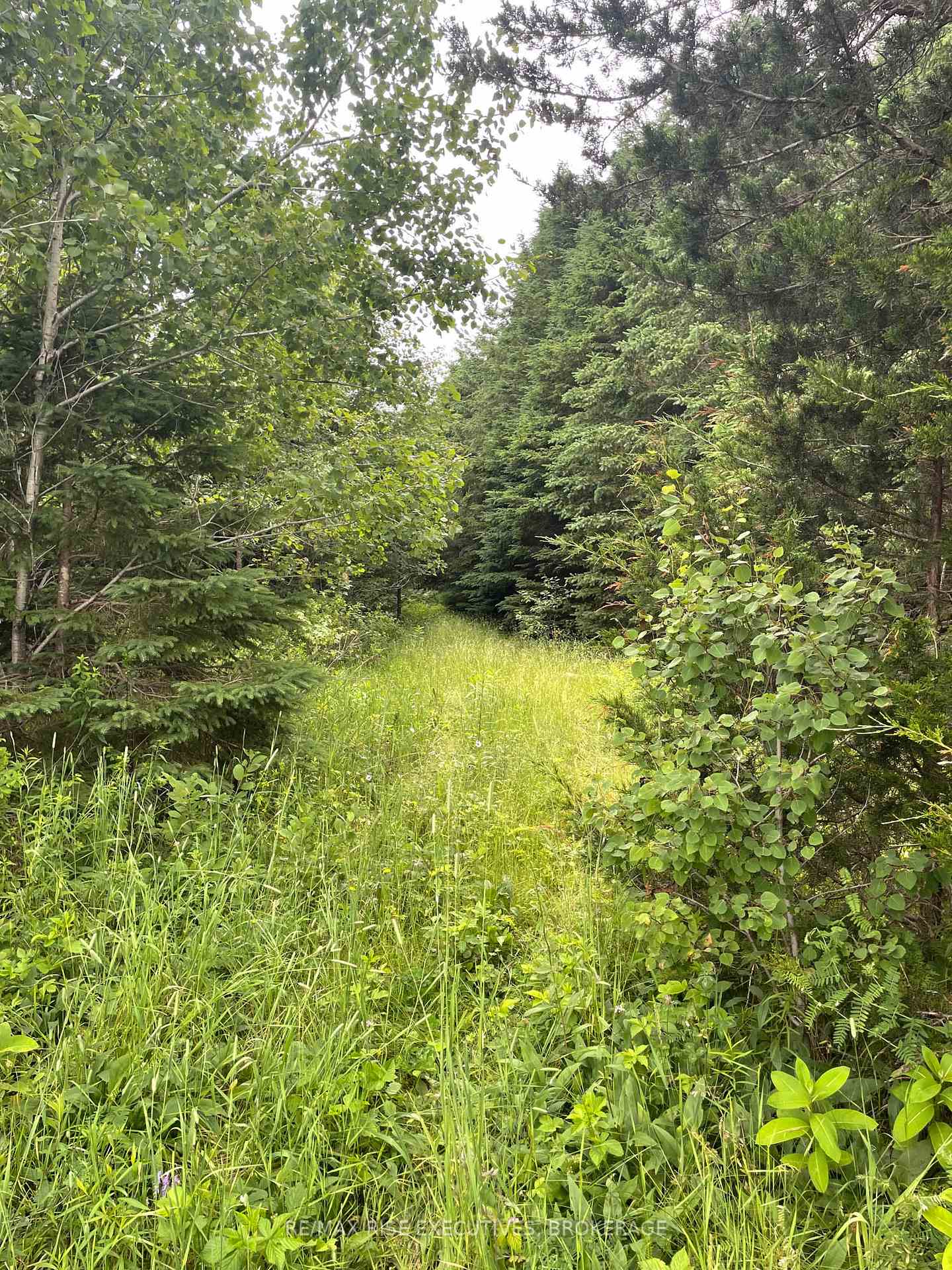 Photo 20 of 1311A County Road 506, North Frontenac, Frontenac North — HOMEH