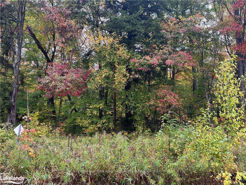 Photo 4 of Woods Road, Carling — HOMEH