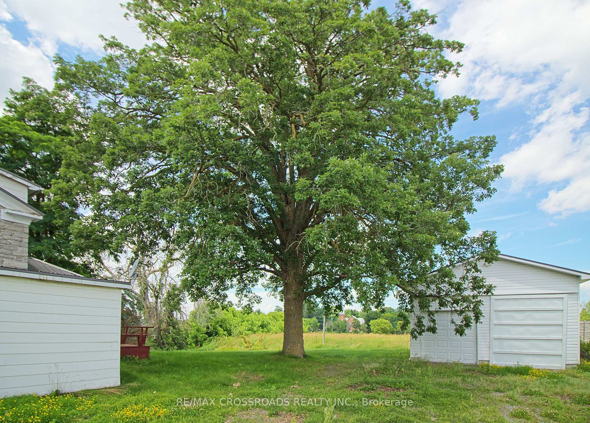 Photo 4 of 88 Front Street, Stirling-Rawdon, Stirling Ward — HOMEH