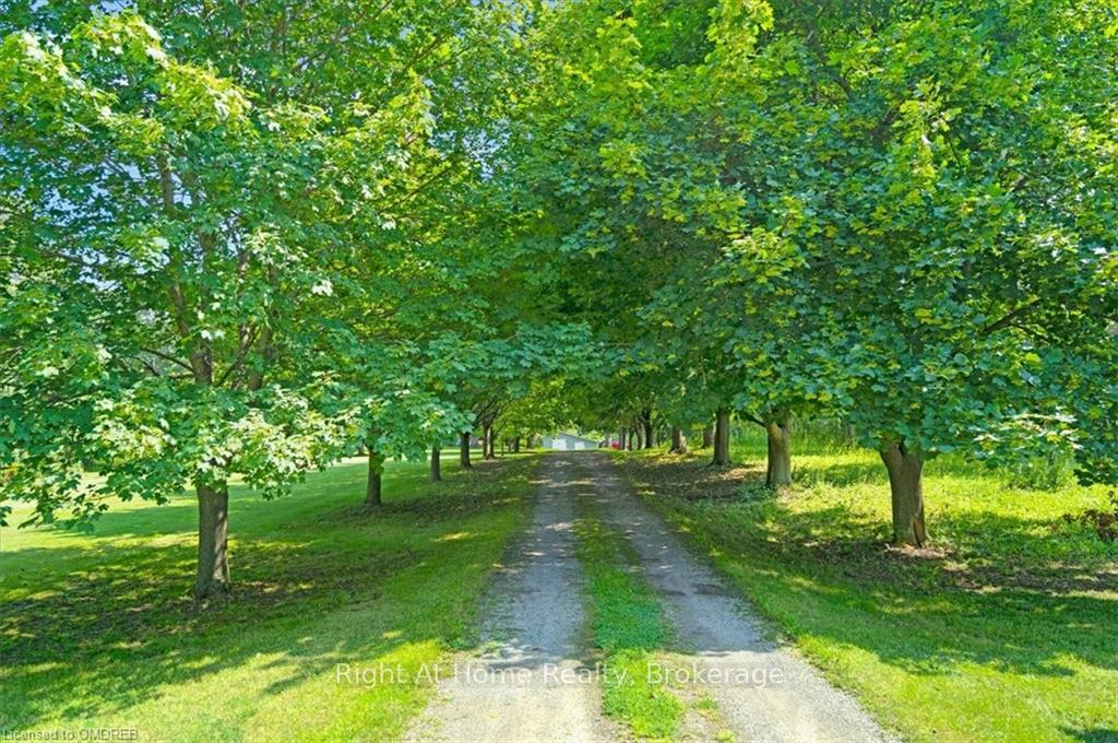 Photo 9 of 623 Miles Road, Hamilton, Rural Glanbrook — HOMEH