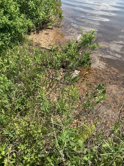 Photo 12 of Brennans Road, Joly — HOMEH